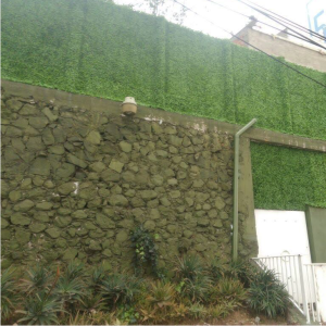 decoracion muro verde cancun