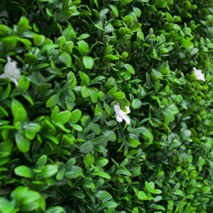 decoracion muro verde cancun