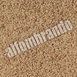 alfombras playa del carmen